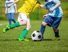 剑南春冠名,拜仁与美因,战平,开云体育,KaiYun,Sports,开云体育网址,开云体育app,开云体育官网,开云体育集团