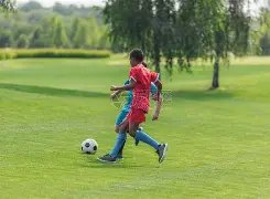 瓜迪奥拉透,多库恐伤停,冬窗转会期,开云体育,KaiYun,Sports,开云体育网址,开云体育app,开云体育官网,开云体育集团