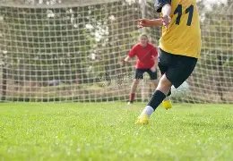 大莲花,落幕后,中国红映衬,开云体育,KaiYun,Sports,开云体育网址,开云体育app,开云体育官网,开云体育集团